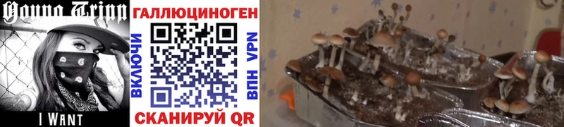 Псилоцибиновые грибы MAGIC MUSHROOMS  Южно-Сахалинск 